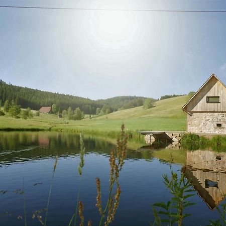 Ferienhaus Im Schwarzwald Am See "Backhaeusle" Hornberg Exterior foto